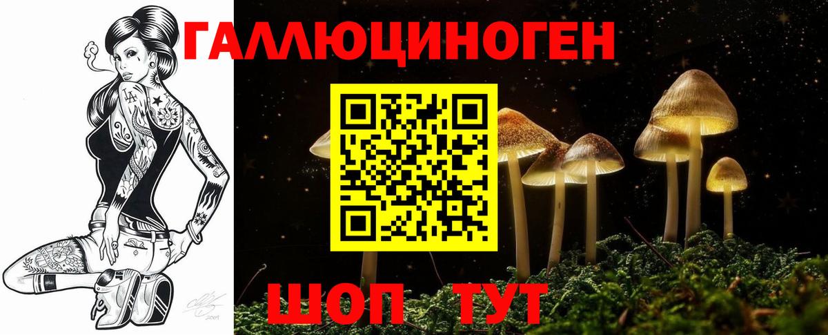 Псилоцибиновые грибы GOLDEN TEACHER  Вход с VPN  Ипатово 